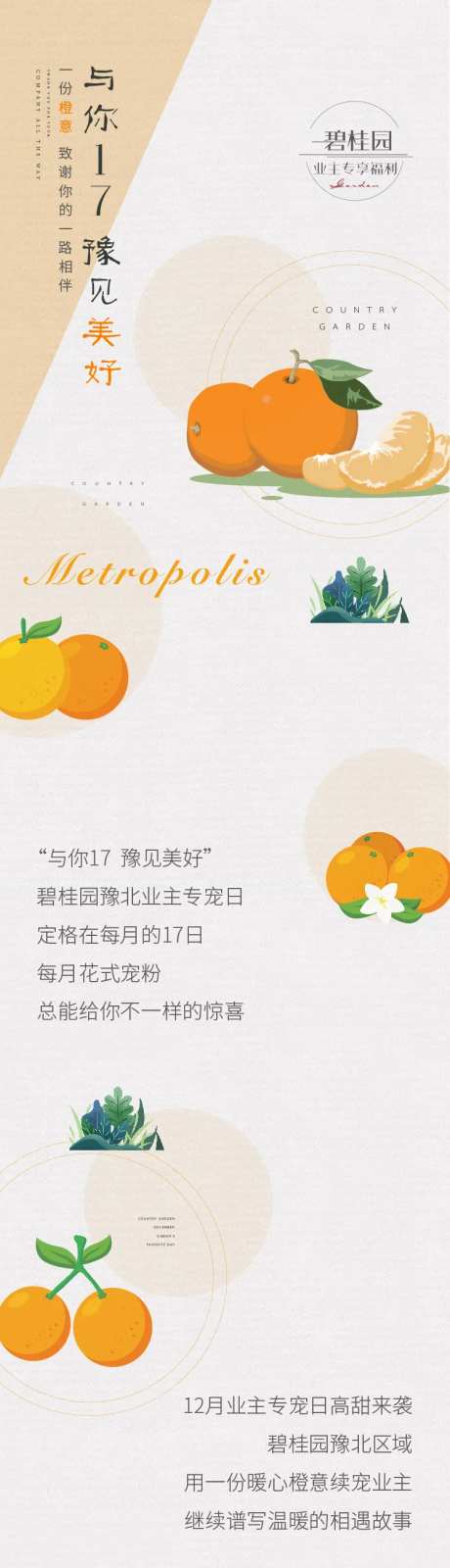 送橙子长图-采灵感-https://www.cailinggan.com/