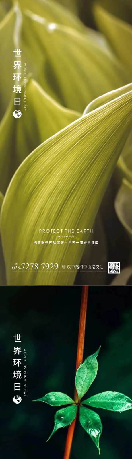 世界环境日海报-采灵感-https://www.cailinggan.com/