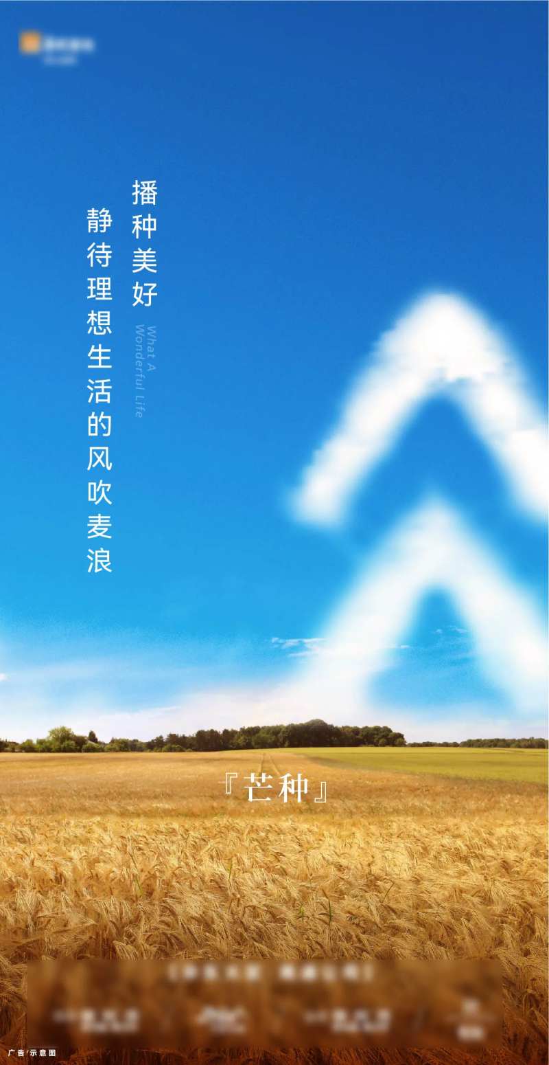 房地产芒种海报-采灵感-cailinggan.com