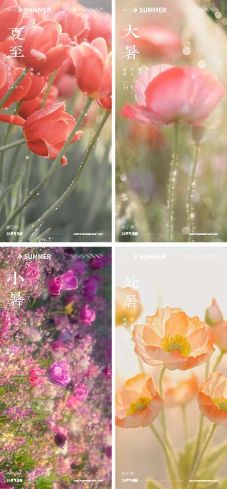 夏天24节气花卉风景海报-采灵感-https://www.cailinggan.com/