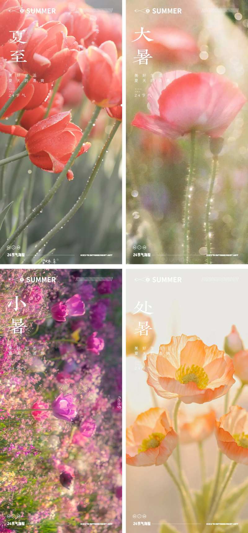 夏天24节气花卉风景海报-采灵感-cailinggan.com