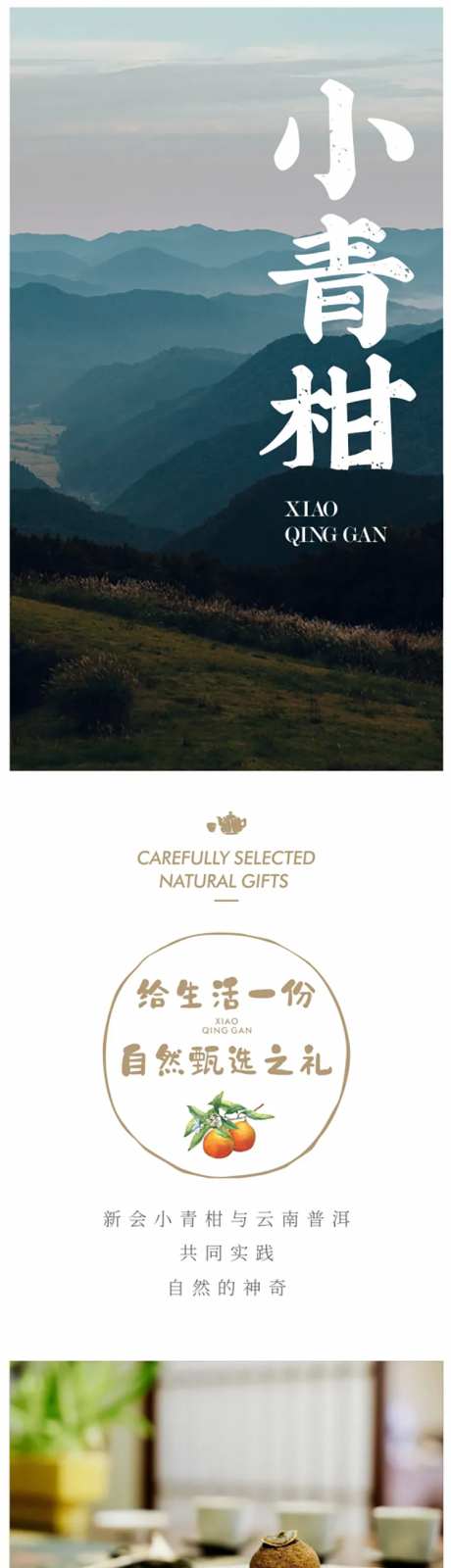 小青柑电商公众号长图详情页-采灵感-https://www.cailinggan.com/