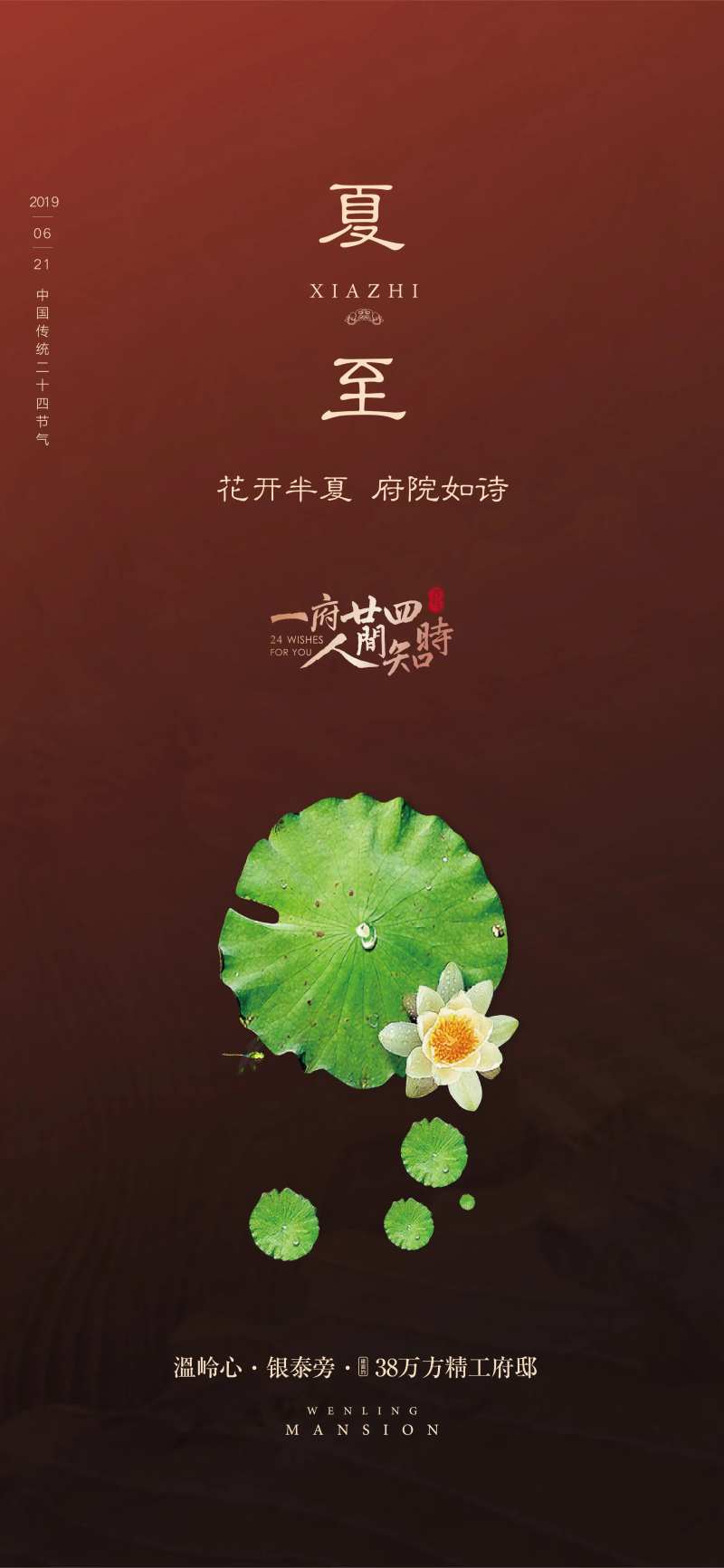 夏至节日节气-采灵感-cailinggan.com