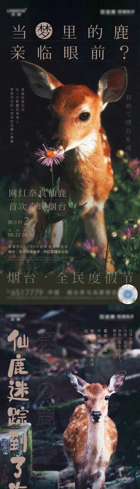 文旅地产奈良鹿汉服活动日式系列海报-采灵感-https://www.cailinggan.com/