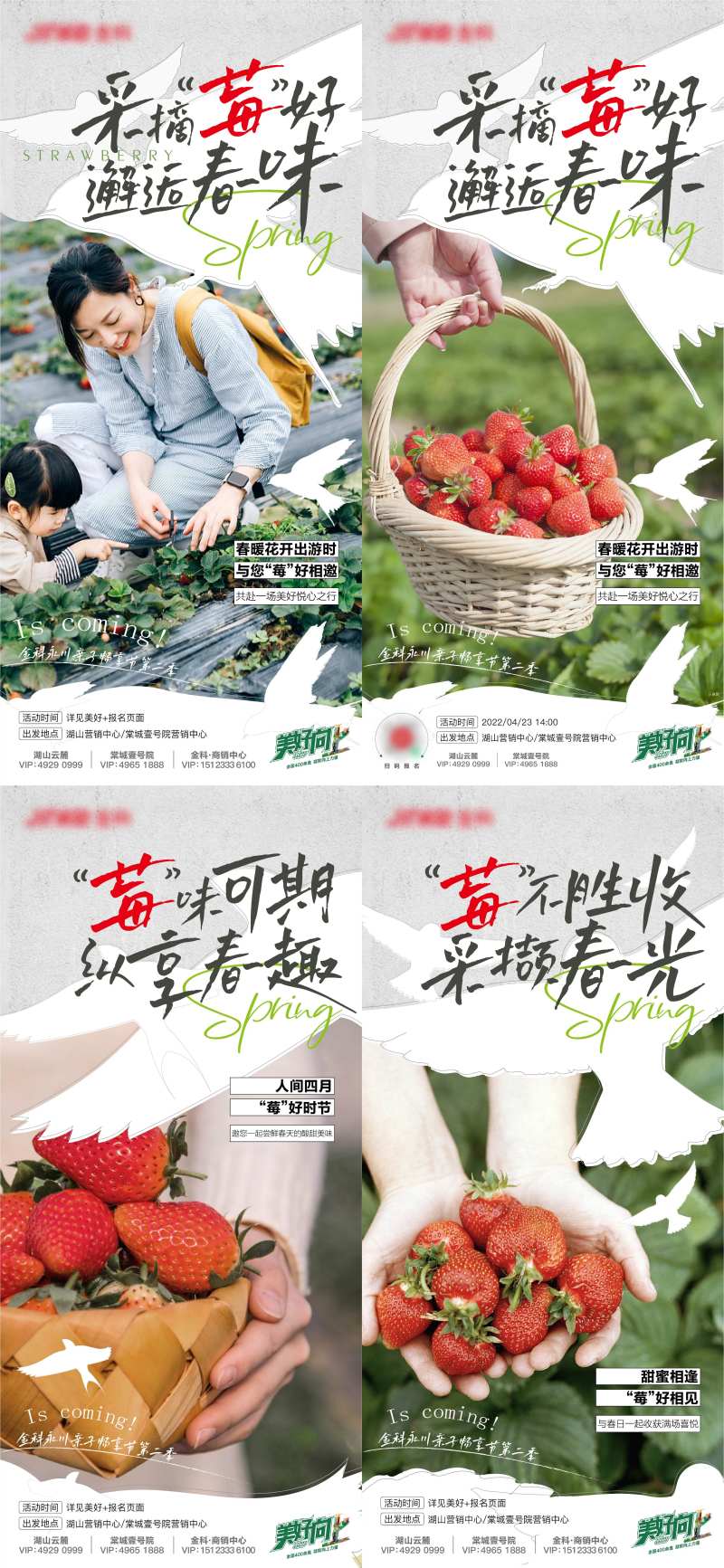 地产摘草莓活动-采灵感-cailinggan.com