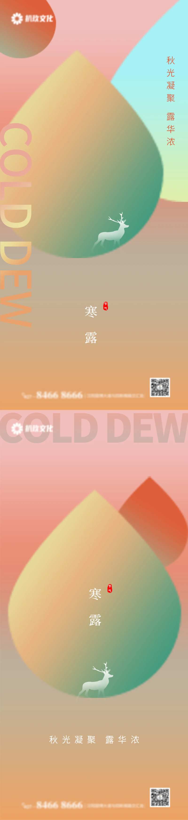 二十四节气节日寒露海报-采灵感-cailinggan.com