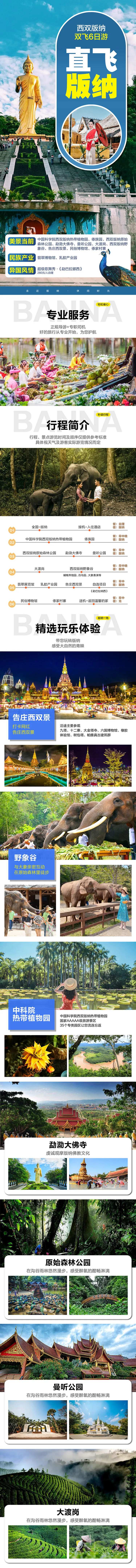 直飞版纳详情页-采灵感-cailinggan.com