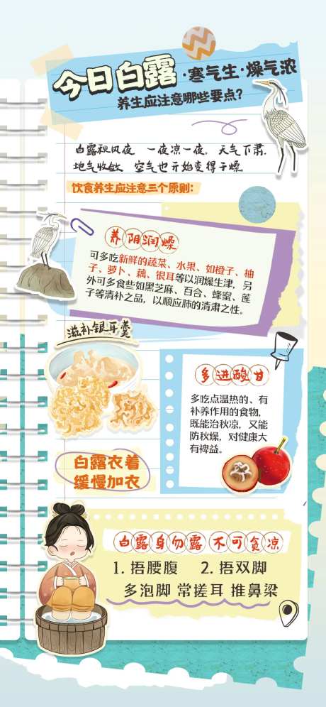 白露养生手账海报-采灵感-https://www.cailinggan.com/