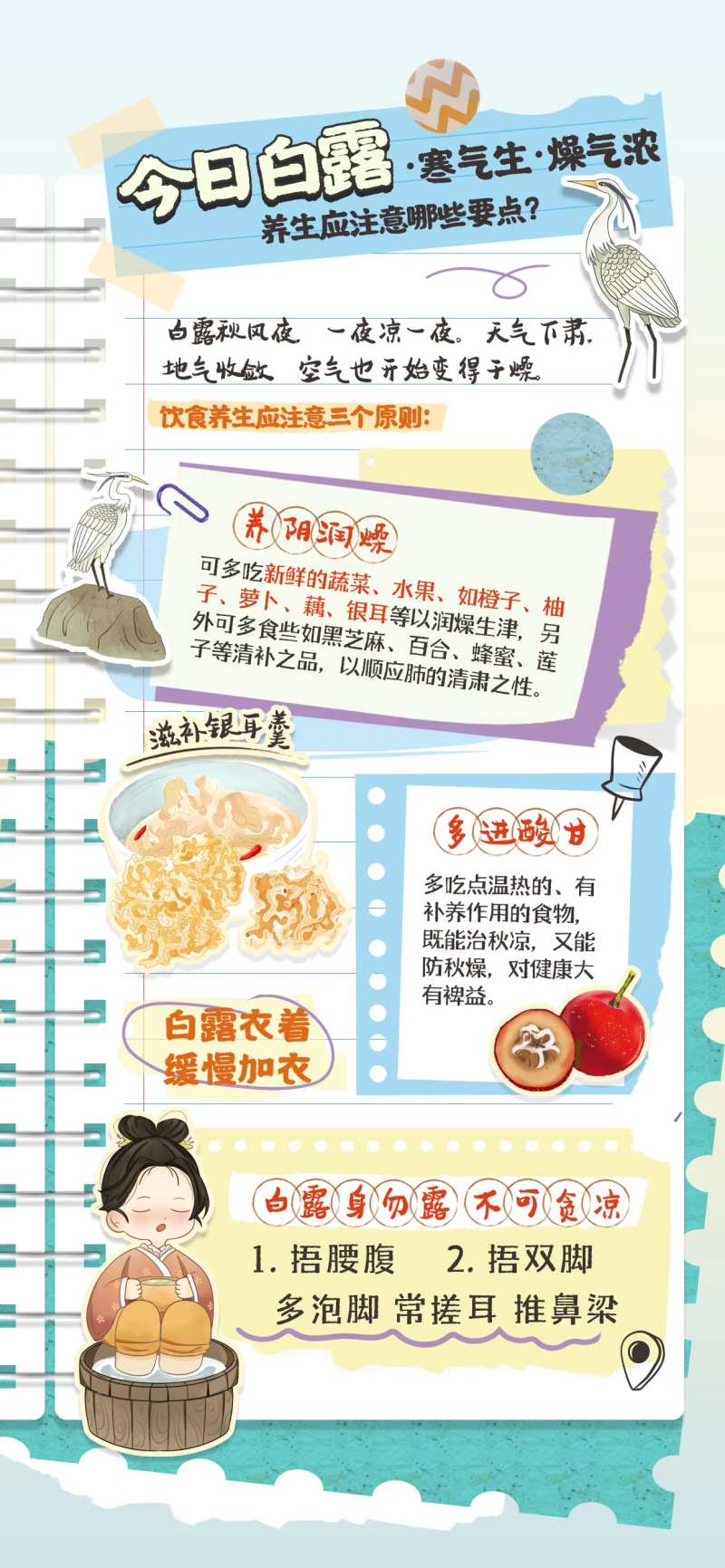 白露养生手账海报-采灵感-cailinggan.com