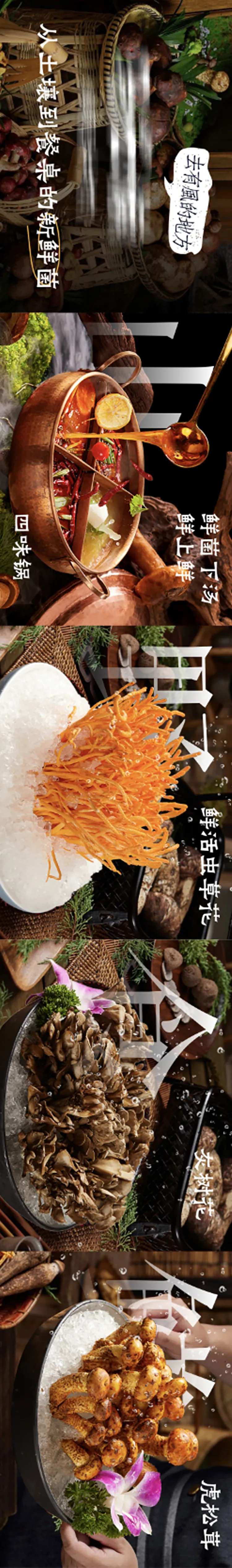 云南菌子火锅海报-采灵感-cailinggan.com