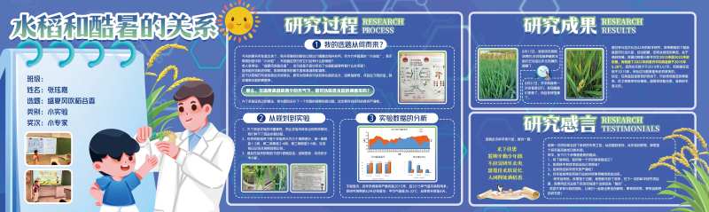 水稻研究-采灵感-cailinggan.com