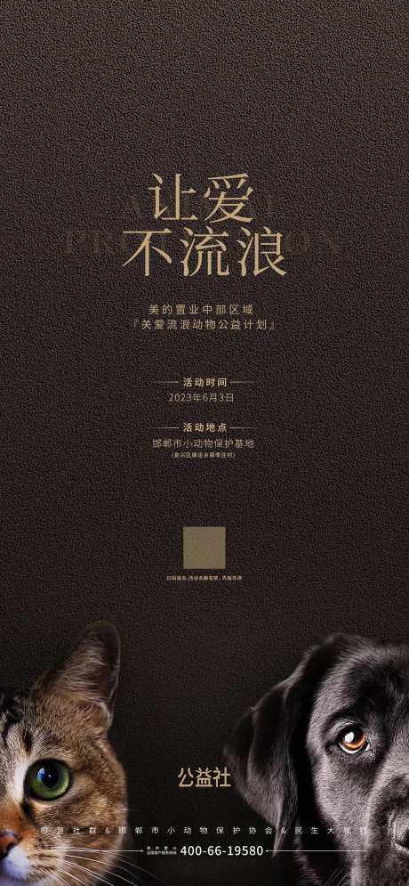 流浪狗流浪猫保护动物公益海报-采灵感-https://www.cailinggan.com/