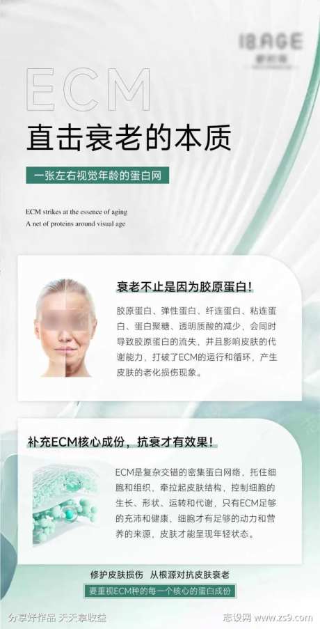 直击衰老的本质-采灵感-https://www.cailinggan.com/