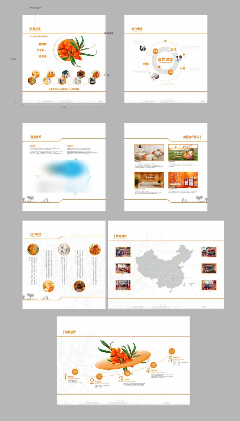 沙棘展厅背景板-采灵感-cailinggan.com