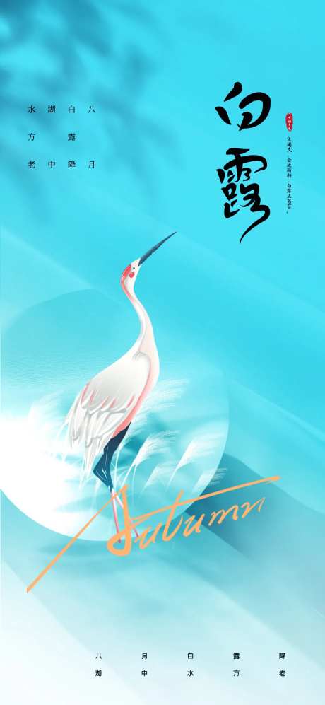 白露24节气海报-采灵感-https://www.cailinggan.com/