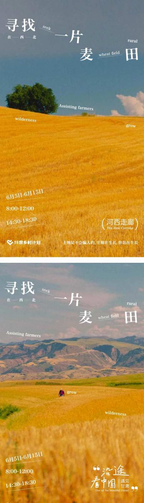 寻找一片麦田-采灵感-https://www.cailinggan.com/