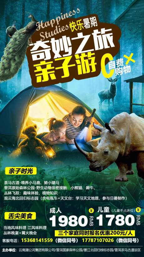西双版纳普洱亲自旅游海报-采灵感-https://www.cailinggan.com/