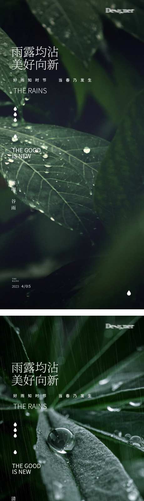 谷雨下雨清明节树叶24节气海报-采灵感-https://www.cailinggan.com/