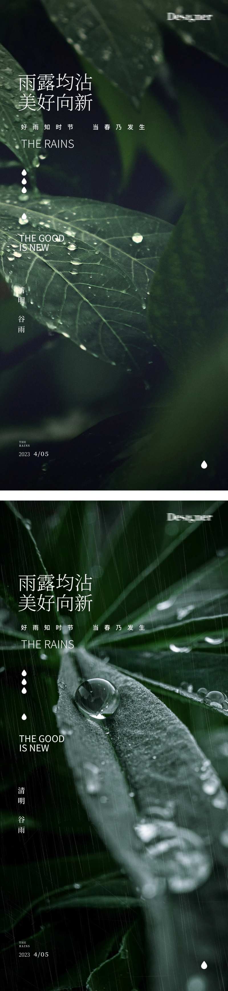 谷雨下雨清明节树叶24节气海报-采灵感-cailinggan.com