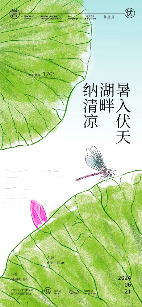 荷叶插画海报-采灵感-https://www.cailinggan.com/