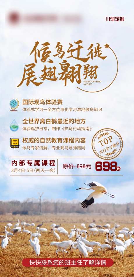 候鸟研学营地简约海报-采灵感-https://www.cailinggan.com/