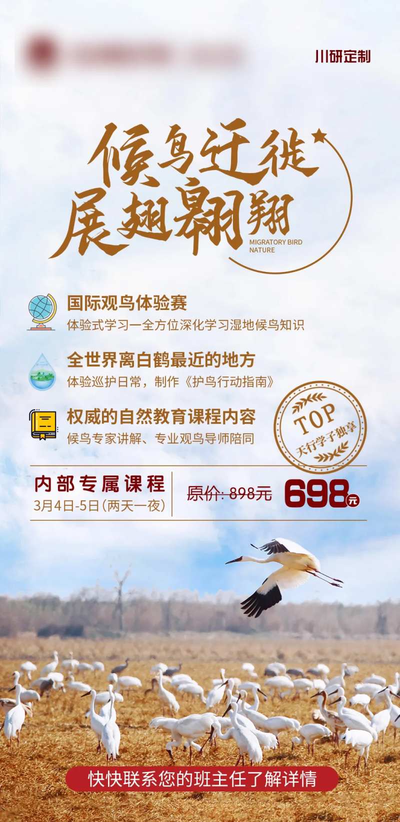 候鸟研学营地简约海报-采灵感-cailinggan.com