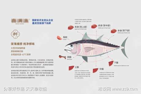 金枪鱼解剖图餐垫-采灵感-https://www.cailinggan.com/