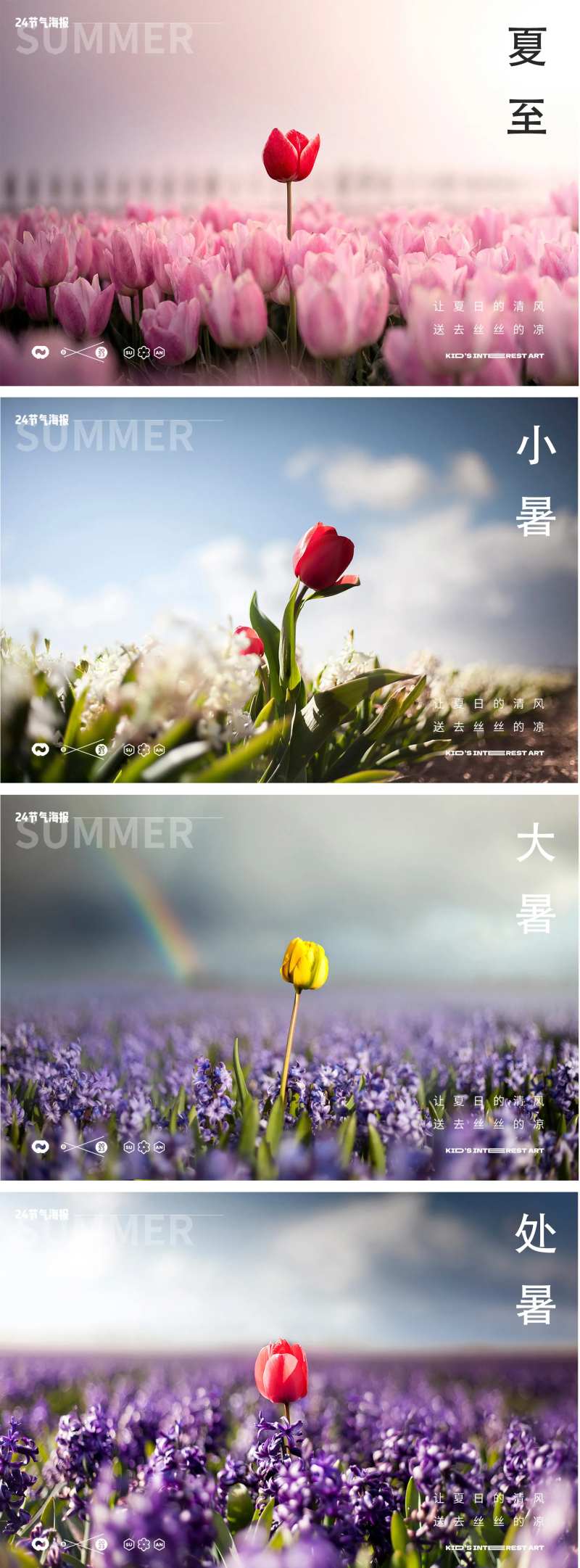 夏季24节气玫瑰花月季海报-采灵感-cailinggan.com