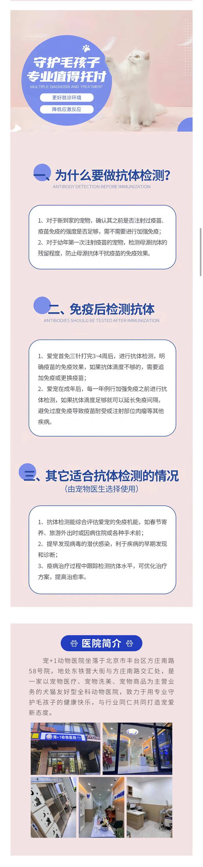 抗体检测长图-采灵感-cailinggan.com