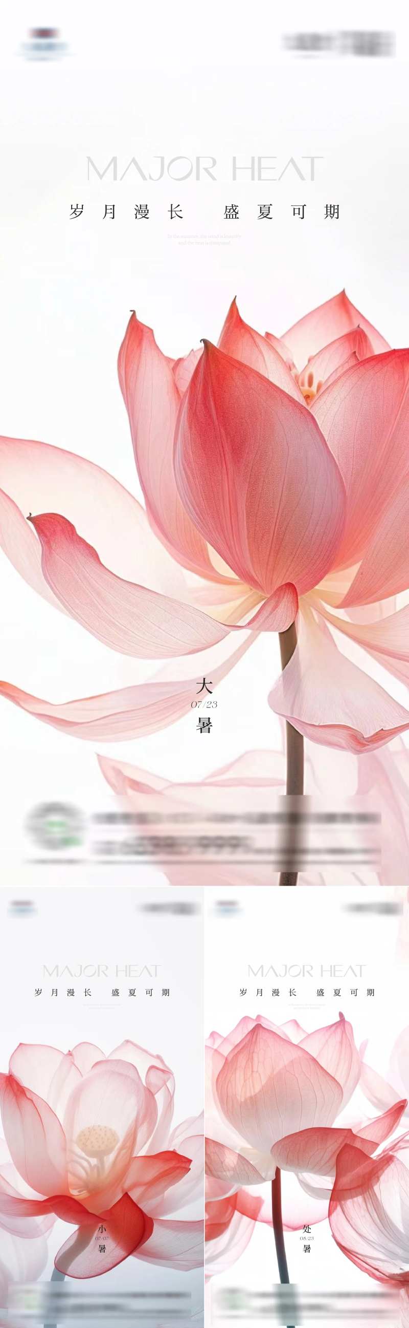 小暑大暑处暑荷花荷叶系列海报-采灵感-cailinggan.com
