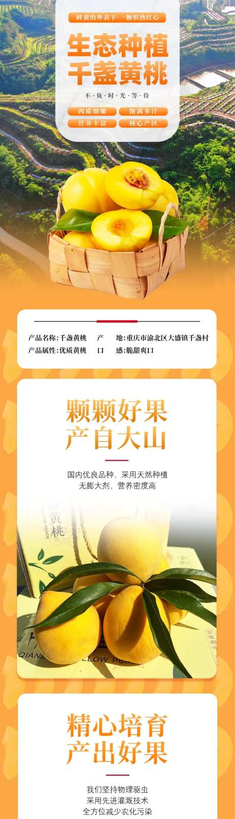 水果黄桃电商宣传详情页-采灵感-https://www.cailinggan.com/