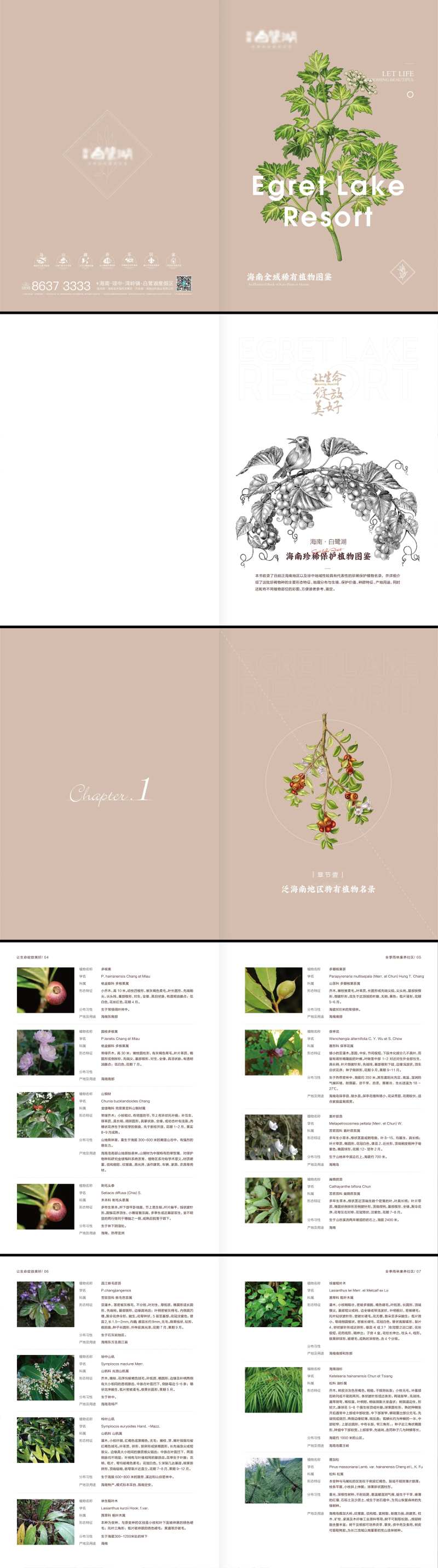 海南全域稀有植物画册-采灵感-cailinggan.com