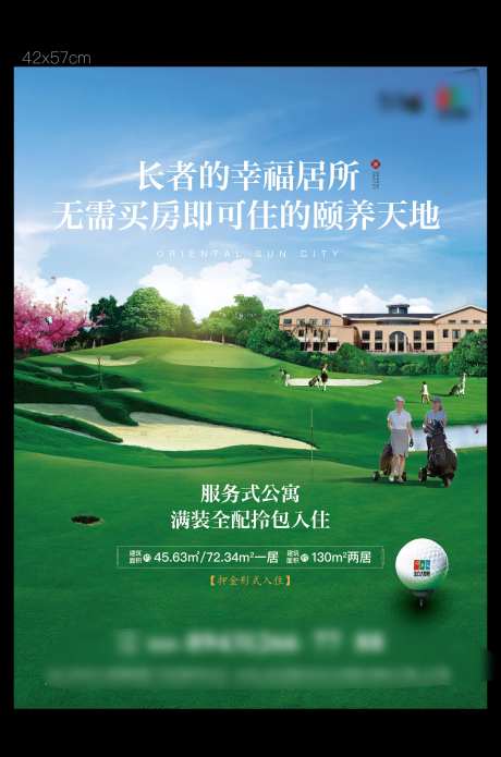 高尔夫别墅价值DM海报-采灵感-https://www.cailinggan.com/