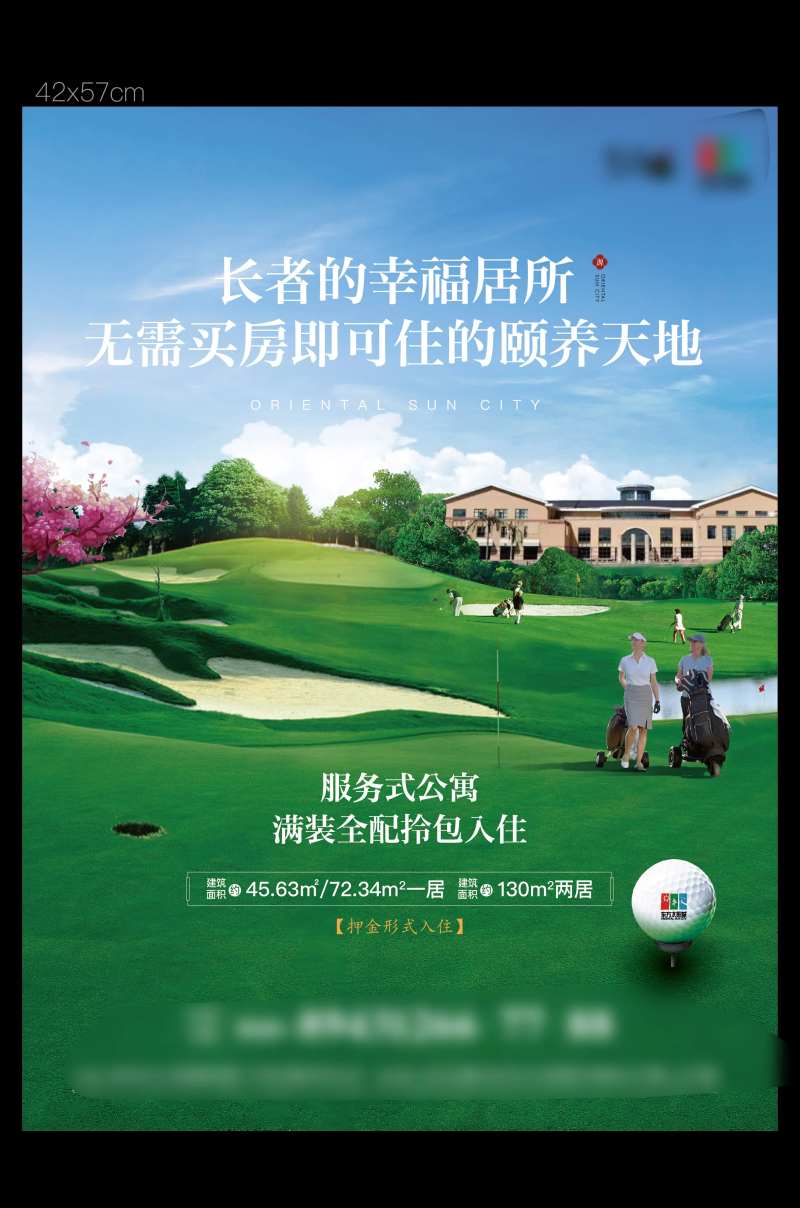高尔夫别墅价值DM海报-采灵感-cailinggan.com