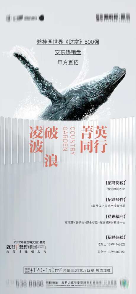 招聘海报-采灵感-https://www.cailinggan.com/