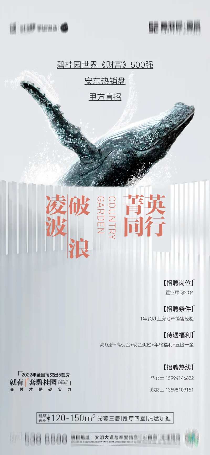 招聘海报-采灵感-cailinggan.com