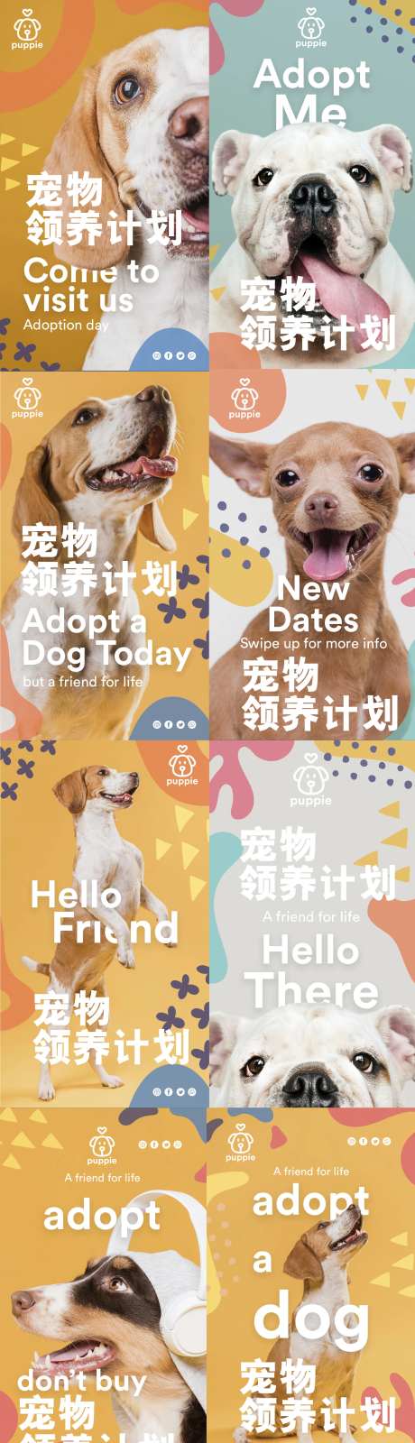 宠物领养海报-采灵感-https://www.cailinggan.com/