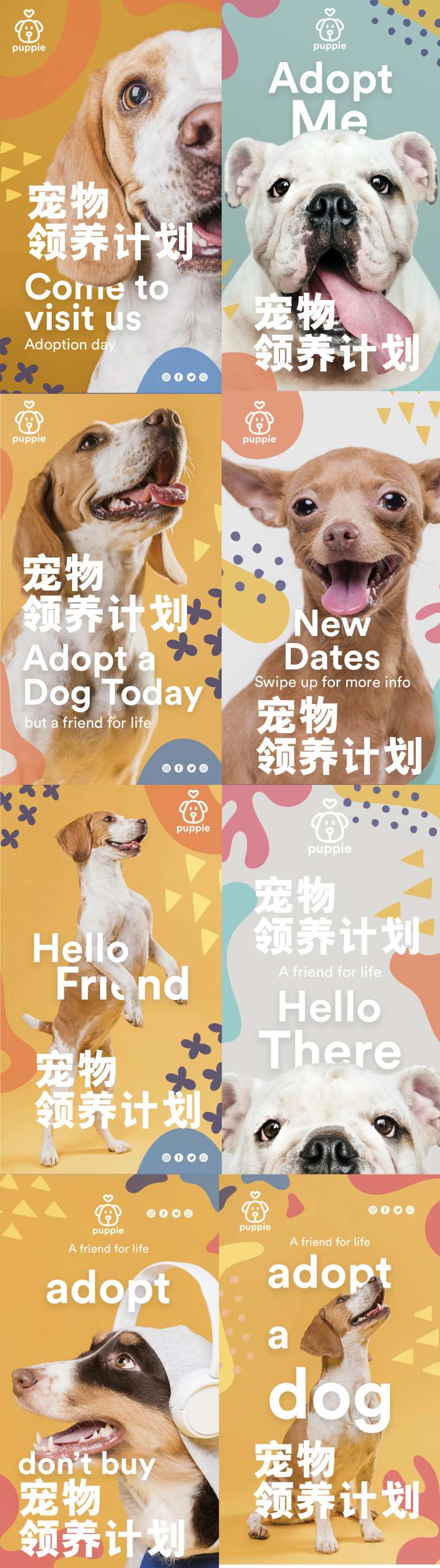 宠物领养海报-采灵感-cailinggan.com