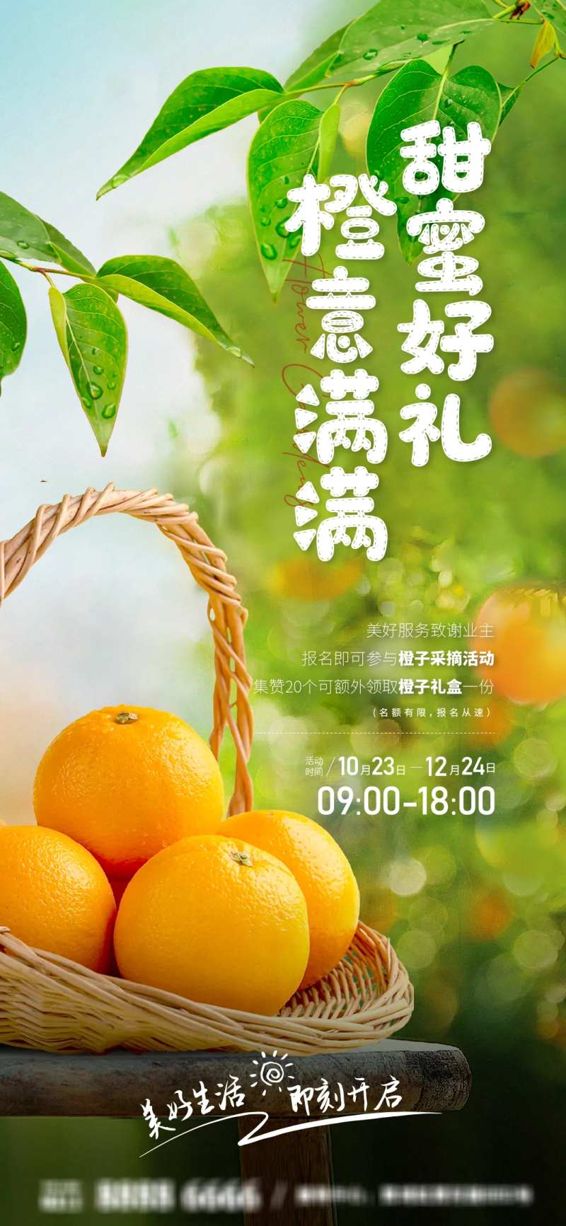 橙子采摘活动海报-采灵感-cailinggan.com