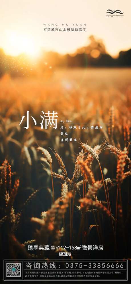 小得盈满520小满海报-采灵感-https://www.cailinggan.com/