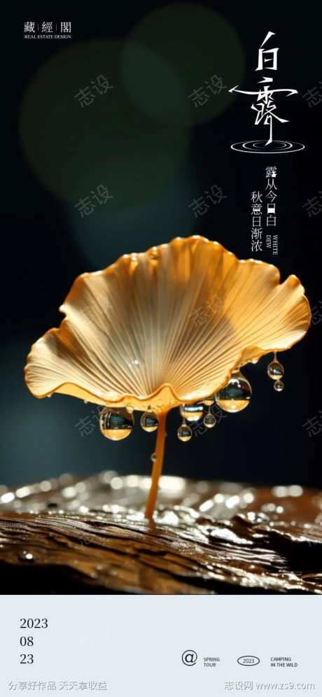 白露叶子特写海报-采灵感-https://www.cailinggan.com/