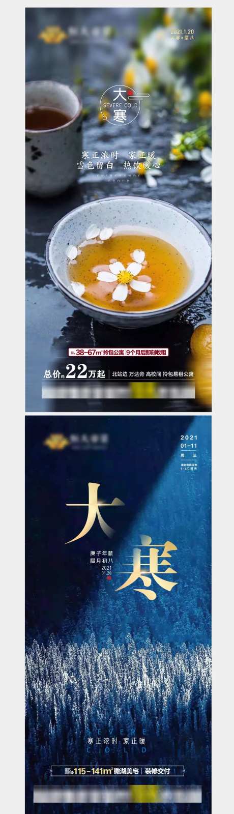 房地产大寒节气系列海报-采灵感-https://www.cailinggan.com/