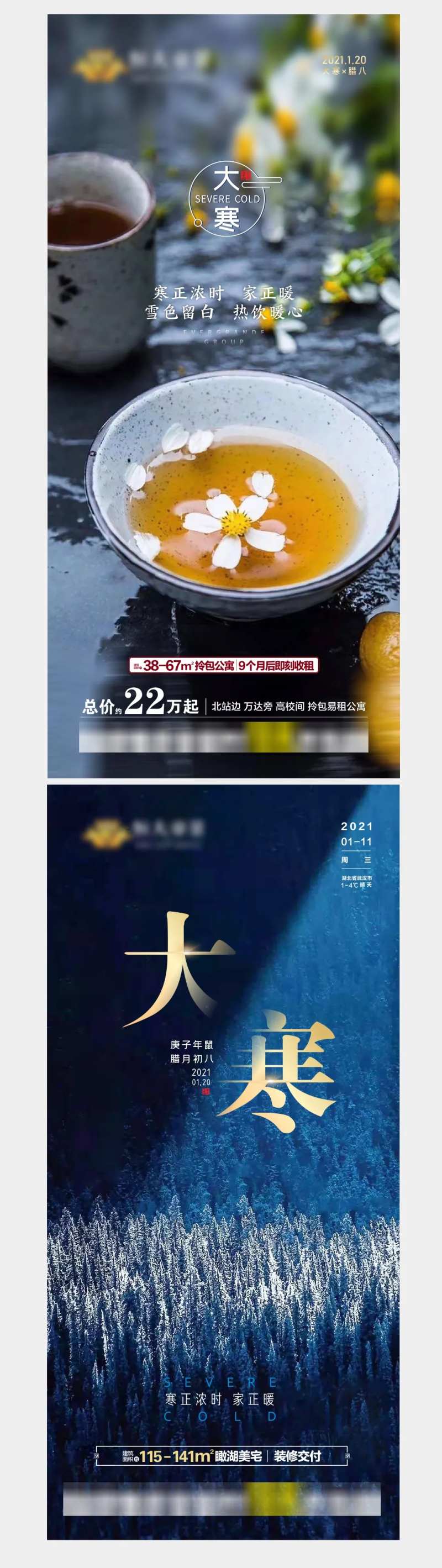 房地产大寒节气系列海报-采灵感-cailinggan.com