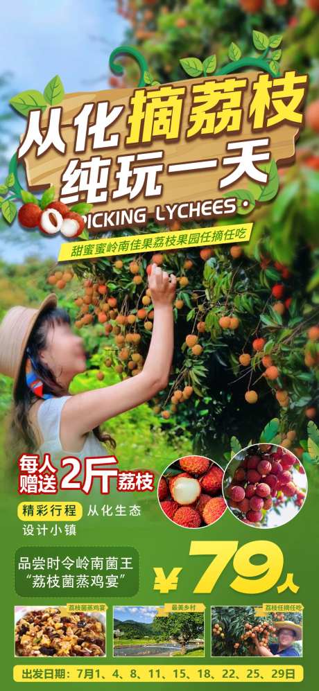 从化荔枝-采灵感-https://www.cailinggan.com/