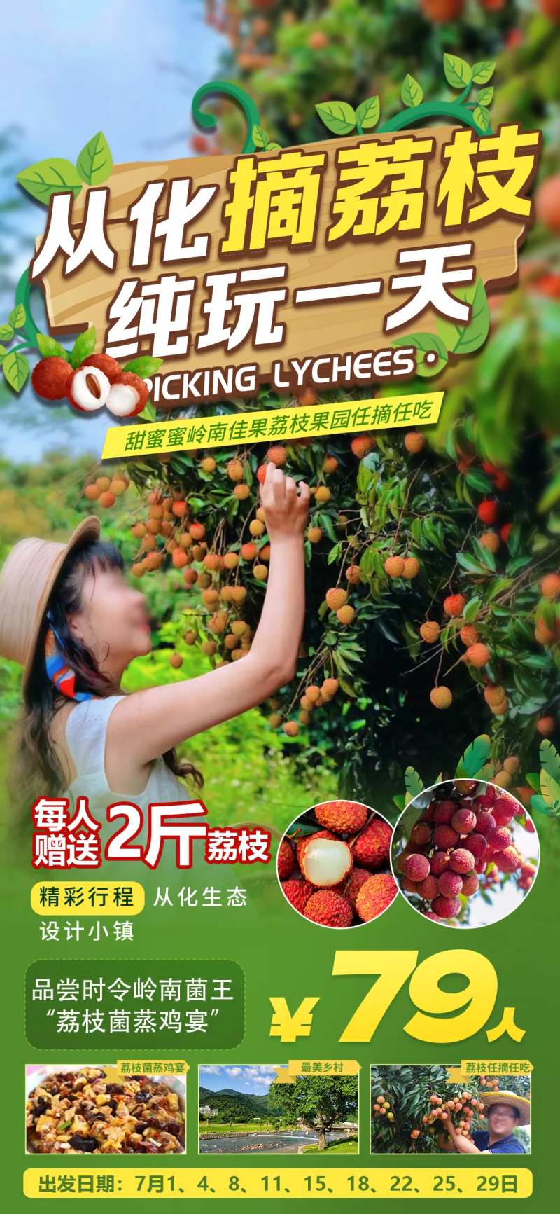 从化荔枝-采灵感-cailinggan.com