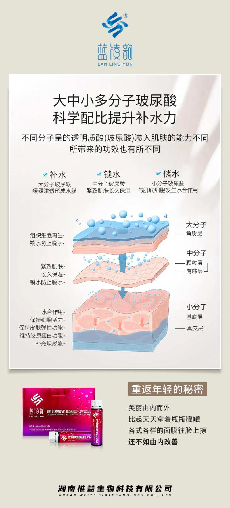 玻尿酸大中小分子产品宣传海报-采灵感-cailinggan.com