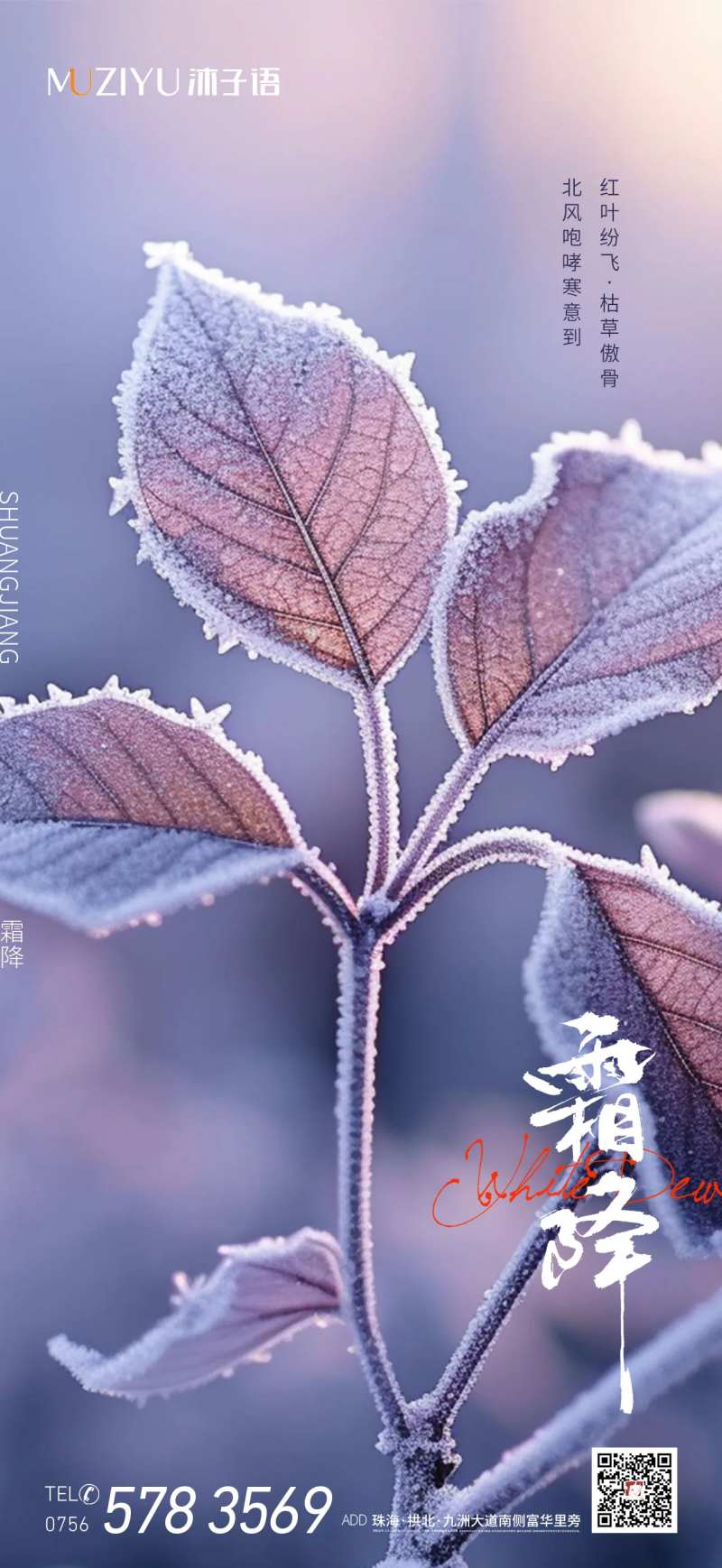 秋叶实景霜降海报-采灵感-cailinggan.com