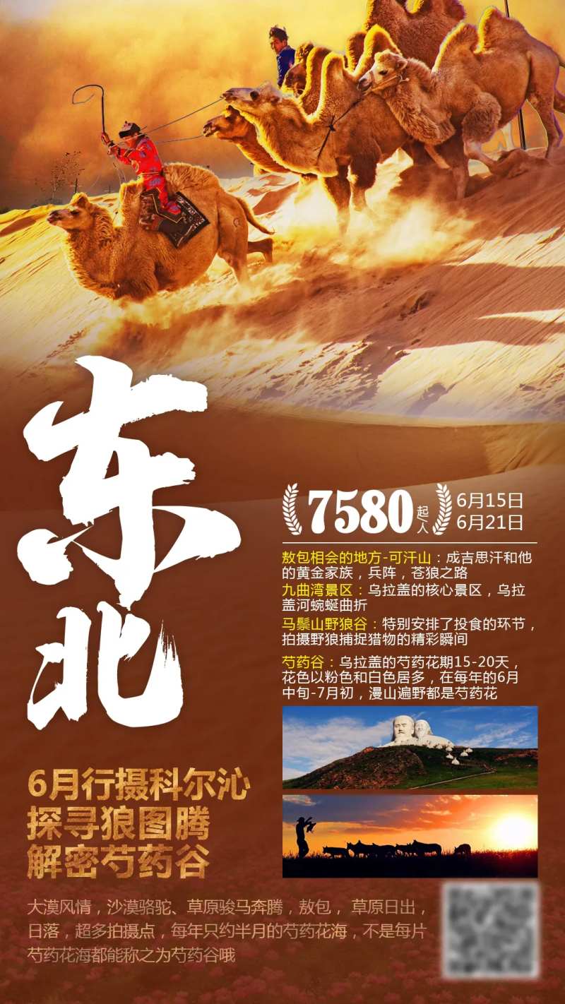 东北荒漠旅游海报-采灵感-cailinggan.com