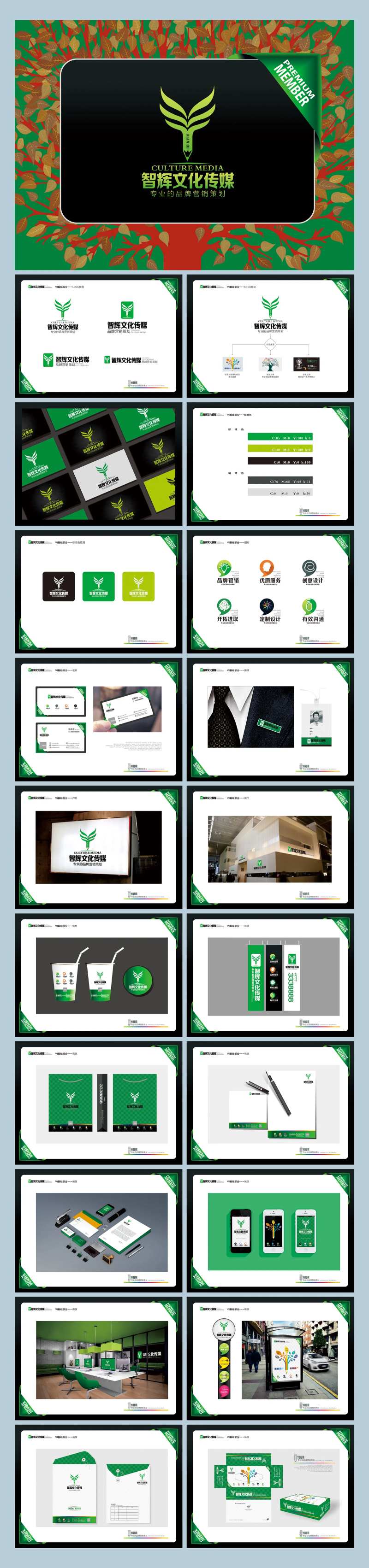 文化传媒广告公司VI提案-采灵感-cailinggan.com