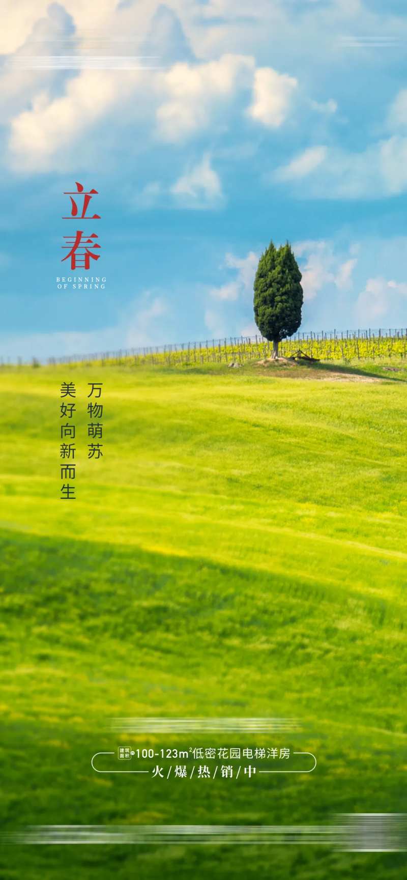立春海报-采灵感-cailinggan.com